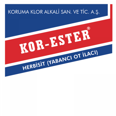 KOR - ESTER 10 LT.